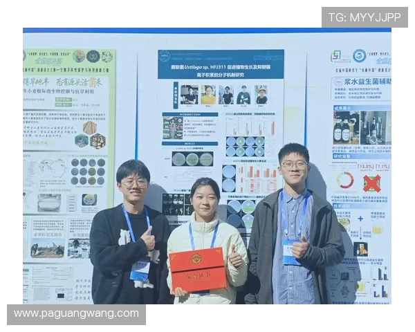 凯发官网登录:平台安全策略与用户信息保护措施介绍