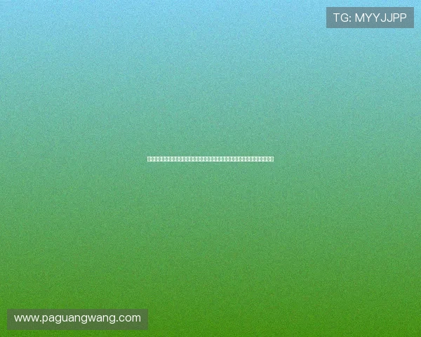 十六浦澳门：深度分析澳门十六浦体育场在世界杯期间的赛事组织与观众互动情况